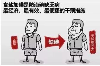 241540350140942792.jpg timg.jpg