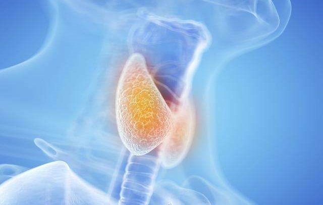 161608107294950938.jpeg 7632f8337d55475f118c02dc2453b364.jpeg