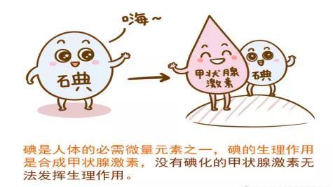 271611733931149873.jpeg 885af060dc58fbb90b1c294e4fa94cd8.jpeg